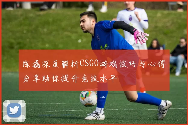 陈磊深度解析CSGO游戏技巧与心得分享助你提升竞技水平