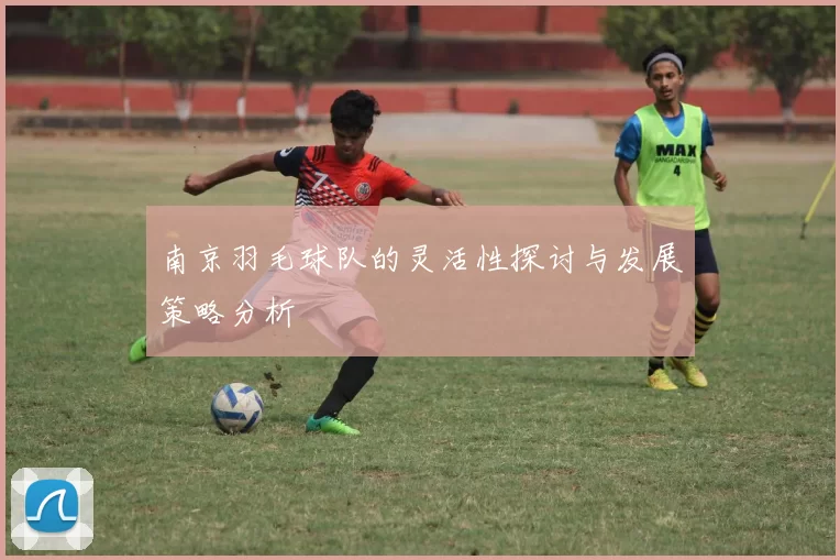 南京羽毛球队的灵活性探讨与发展策略分析