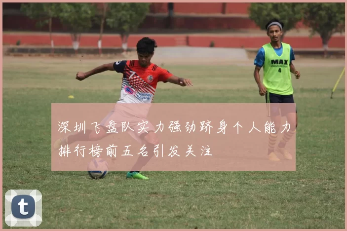 深圳飞盘队实力强劲跻身个人能力排行榜前五名引发关注