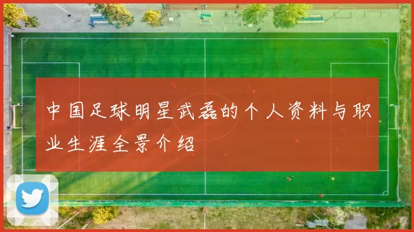 中国足球明星武磊的个人资料与职业生涯全景介绍