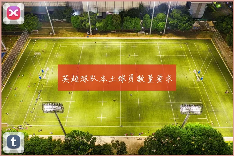 英超球队本土球员数量要求
