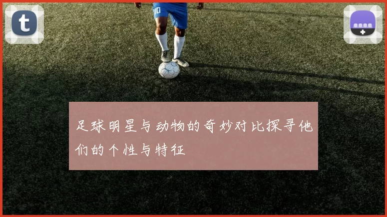 足球明星与动物的奇妙对比探寻他们的个性与特征