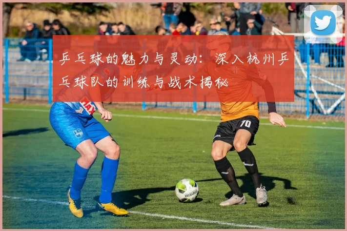 乒乓球的魅力与灵动：深入杭州乒乓球队的训练与战术揭秘