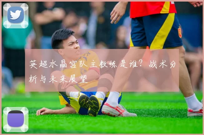 英超水晶宫队主教练是谁？战术分析与未来展望